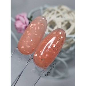 SVN поталь гель № 13 25гр. Photo 2